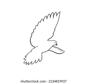 Dove of peace icon. Flying bird. Peace concept. Line