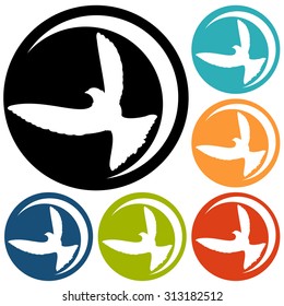 Dove of Peace illustration