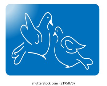 dove of peace, pigeons love