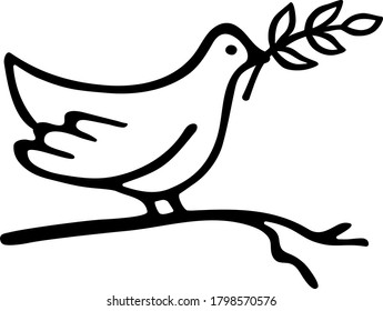 Dove peace in simple vector drawing  Dove keep an olive branch in its beak  Symbol peace pigeon  Hand draw doodle style  Black outlines isolated white  background 