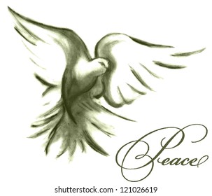 Dove of Peace Sketched