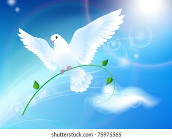 Dove of Peace in the sky