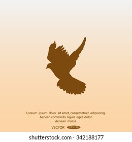 Dove of Peace vector icon
