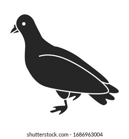 Dove of peace vector icon.black vector icon isolated on white background dove of peace.