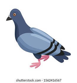 Dove of peace vector icon.Cartoon vector icon isolated on white background dove of peace.