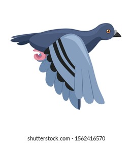Dove of peace vector icon.Cartoon vector icon isolated on white background dove of peace.