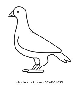 Dove of peace vector icon.Outline vector icon isolated on white background dove of peace.