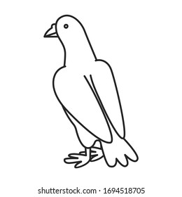 Icono del vector de la paz.Icono del vector de contorno aislado en paloma de fondo blanco de la paz.