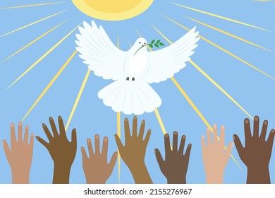 Dove of peace. Vector illustration 