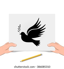 Dove of peace. Dove of Peace Vector. Peace dove, symbol of peace