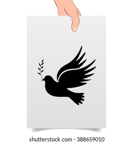 Dove of peace. Dove of Peace Vector. Peace dove, symbol of peace