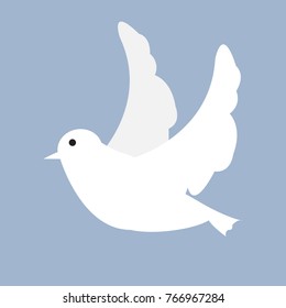 Dove of peace,White dove
