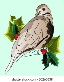 Dove perched on a branch with holly and ivy EPS10