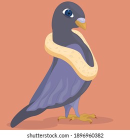 Dove with a piece of bread around its neck