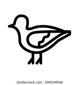 Dove or Pigeon