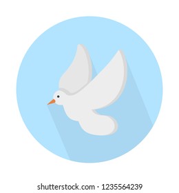 Dove or Pigeon - Bird