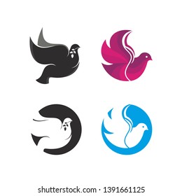 Dove Pigeon Logo Design Vector