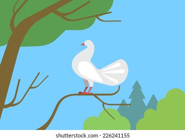 Dove pigeon on tree branch flat design cartoon vector wild animals birds. Flat zoo nature children collection.