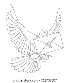 Dove with post letter in beak. Flying pigeon coloring book. Hand drawn vector bird isolated on white.