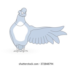 Dove presents - vector illustration.