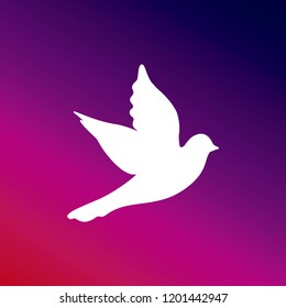 Dove purple and pink gradient material background. white icon minimal design