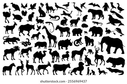 Dove rook crow gull beak bat fly hare fox bear zoo. Strong danger male puma leo cat beast pet stand rhino hippo mule camel moose elk mare stag buck cow bull roe doe horn ram ox lamb sheep goat cattle