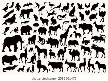 Dove rook crow gull beak bat fly hare fox bear zoo. Strong danger male puma leo cat beast pet stand rhino hippo mule camel moose elk mare stag buck cow bull roe doe horn ram ox lamb sheep goat cattle