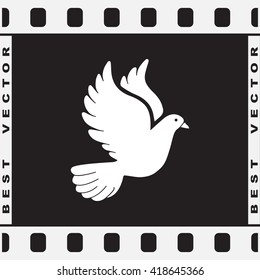 Dove sign icon, vector illustration. Flat design style