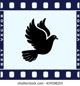 Dove sign icon, vector illustration. Flat design style