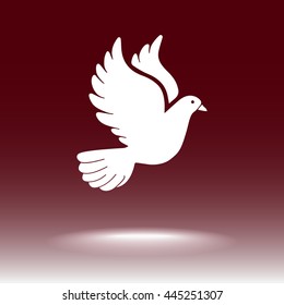 Dove sign icon, vector illustration. Flat design style