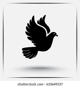 Dove sign icon, vector illustration. Flat design style