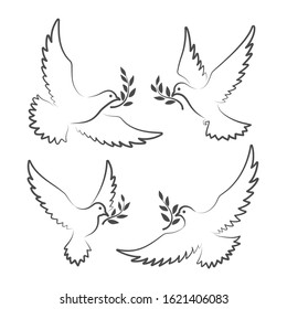 Dove signs. White doves with olive branch symbols, pigeon of peace vector illustration, christian hope flying birds