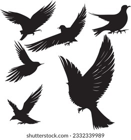 Dove silhouette set in white background 