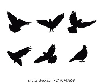 Dove silhouette vector art Isolated