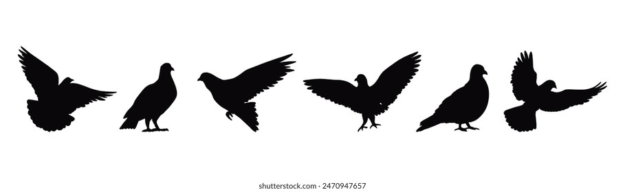 Dove silhouette vector art on white background	