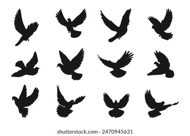 Dove silhouette vector art white background