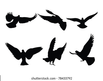 dove silhouettes