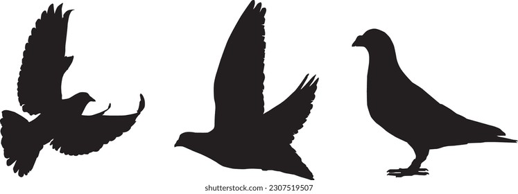Dove silhoutte vector editable eps 
