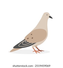 Ilustración vectorial simple de Dove. Paloma Clipart de dibujos animados, pájaro animal en estilo plano. Concepto de animales de granja, agricultura rural. Diseño de Vector de paloma de aves de corral de ganado aislado sobre fondo blanco