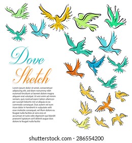 Dove Sketch Background
