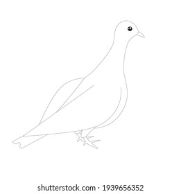 Dove sketch diseño elemento stock ilustración vectorial para libro de colorear, página anti estrés material gráfico vectorial para web, para impresión