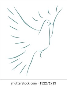 dove sketch - vector