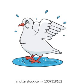 Dove splashing in the water. Spring theme. Vector colored illustration for print, greeting cards.