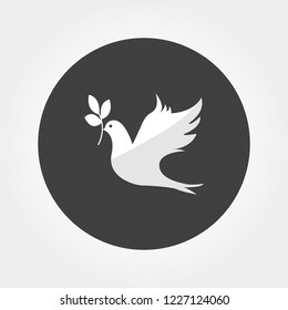 Dove with sprig isolated on gray background.