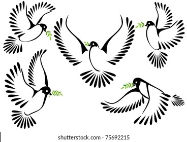 Dove symbol of peace and freedom.vector eps8