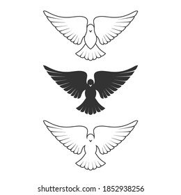 Dove, A Symbol Of Peace And Purity. The Biblical Symbol Of The Holy Spirit.