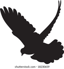 dove vector