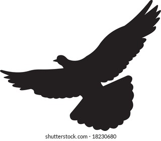 dove vector