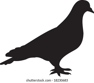 dove vector