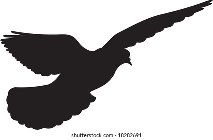 dove vector